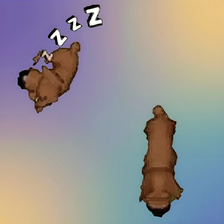 Sleeping Dog